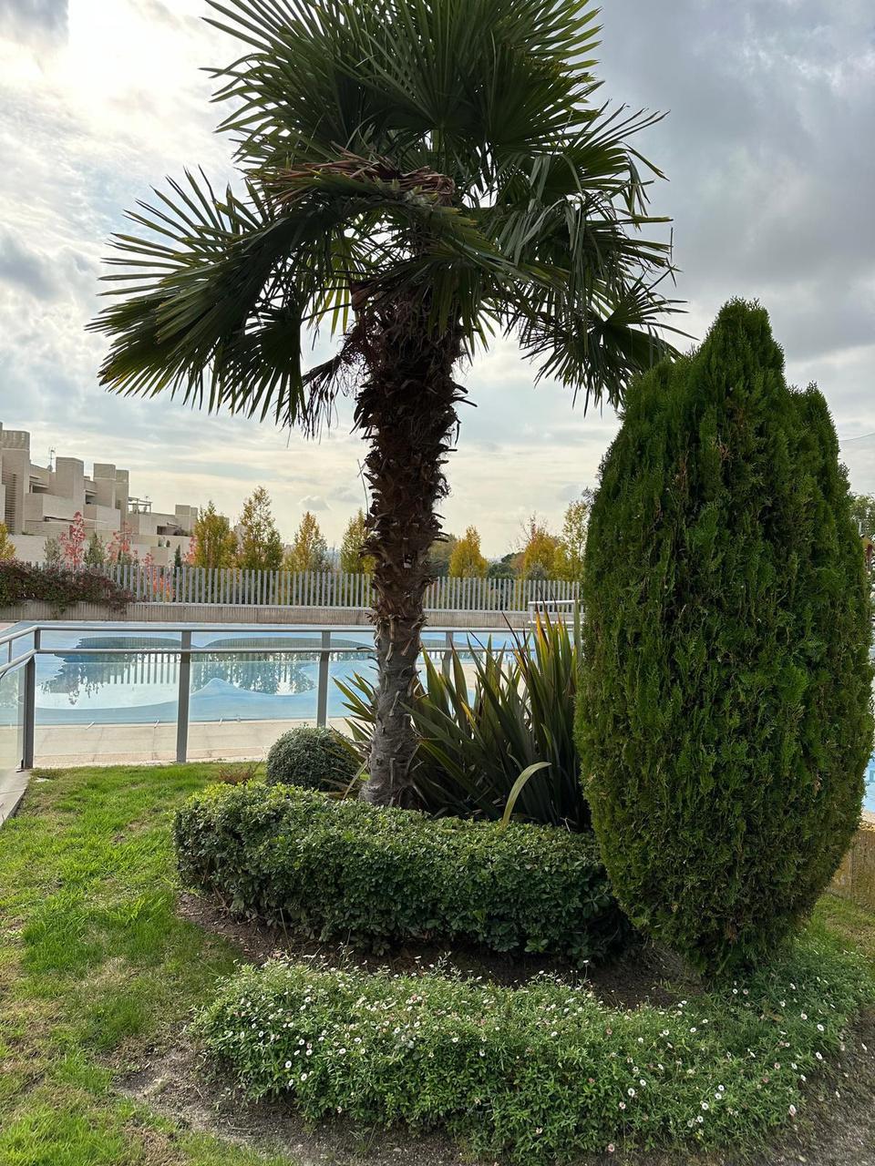 Zonas comunes piso en venta en el Encinar